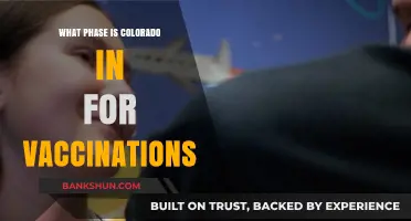 Colorado's Vaccination Progress: Current Phase and Future Outlook