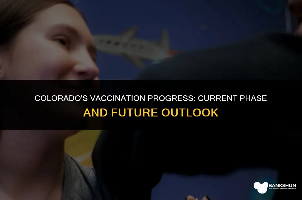 what phase is colorado in for vaccinations