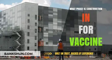 Advancing Healthcare: The Current Phase of Vaccine Construction