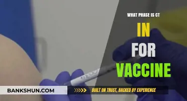 Decoding the Clinical Trial Phases for COVID-19 Vaccines: A Comprehensive Guide