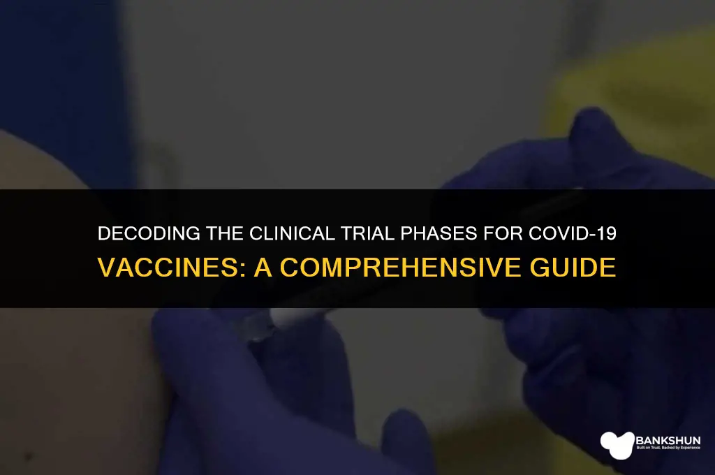 what phase is ct in for vaccine