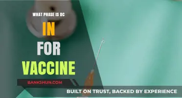 Decoding DC's Vaccine Phase: A Comprehensive Guide