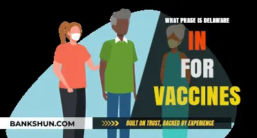 Delaware's Vaccine Rollout: Current Phase and Future Prospects