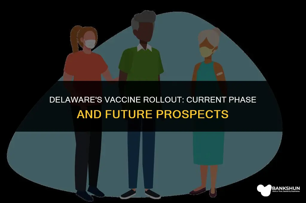 what phase is delaware in for vaccines