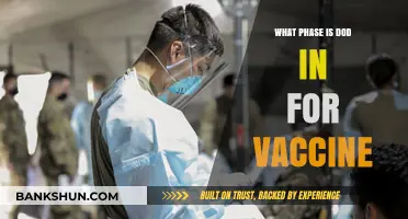 Decoding the DoD's Vaccine Rollout: Current Phase and Future Prospects