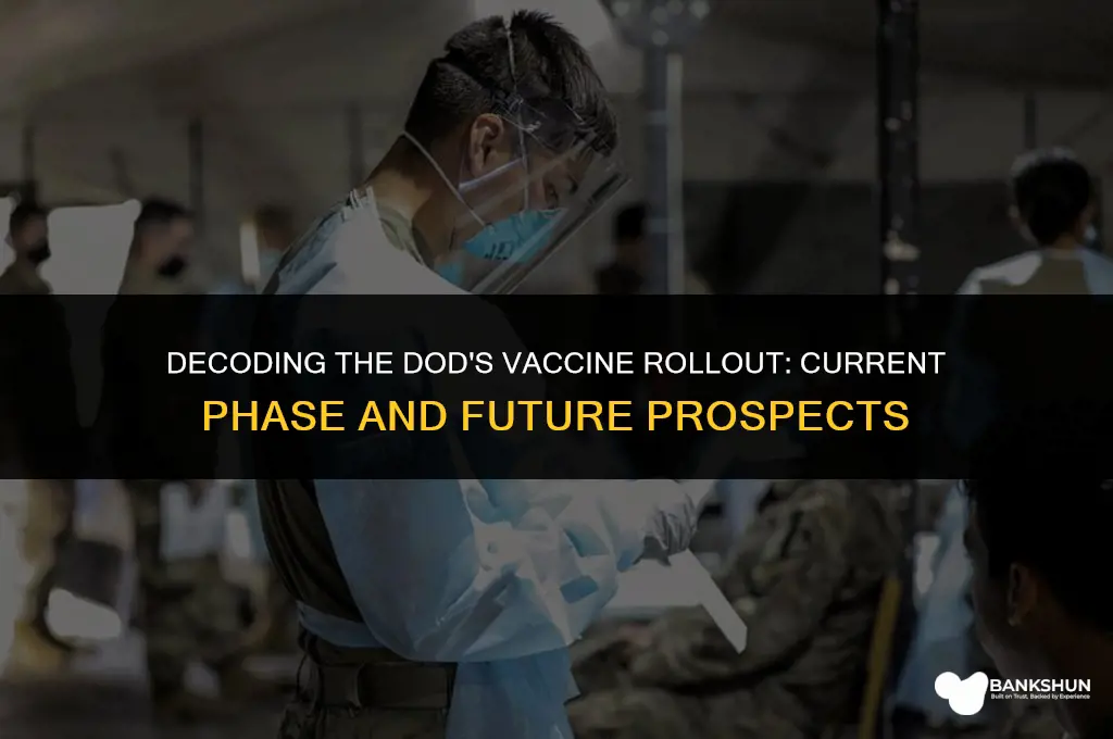 what phase is dod in for vaccine