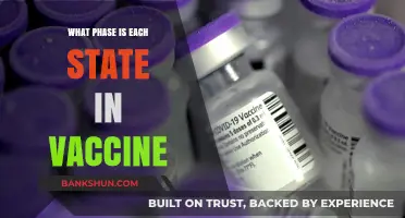 Vaccine Rollout Phases: A State-by-State Breakdown