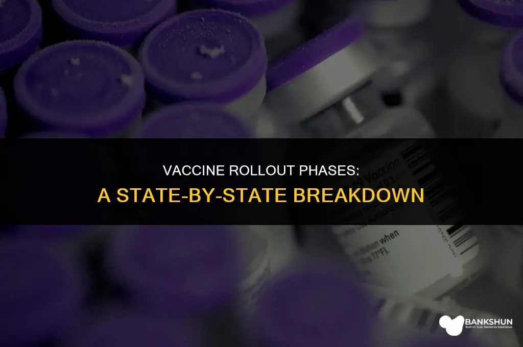 what phase is each state in vaccine