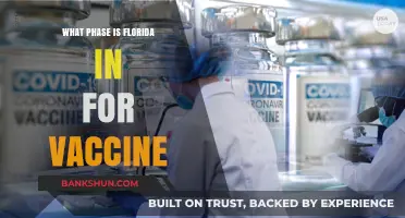 Florida's Vaccine Rollout: Understanding the Current Phase and What's Next