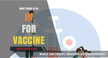 Decoding the Vaccine Journey: Understanding Phase III Clinical Trials