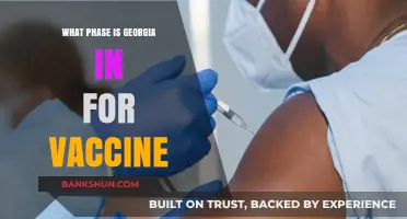 Georgia's Vaccine Rollout: Understanding the Current Phase and What's Next