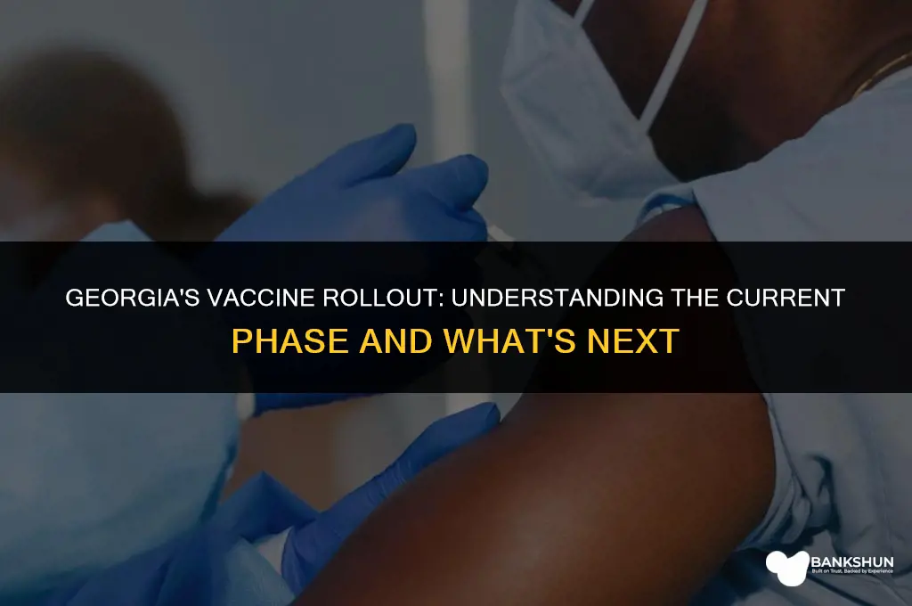 what phase is georgia in for vaccine