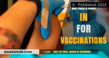 Hawaii's Vaccination Progress: Current Phase and Future Outlook