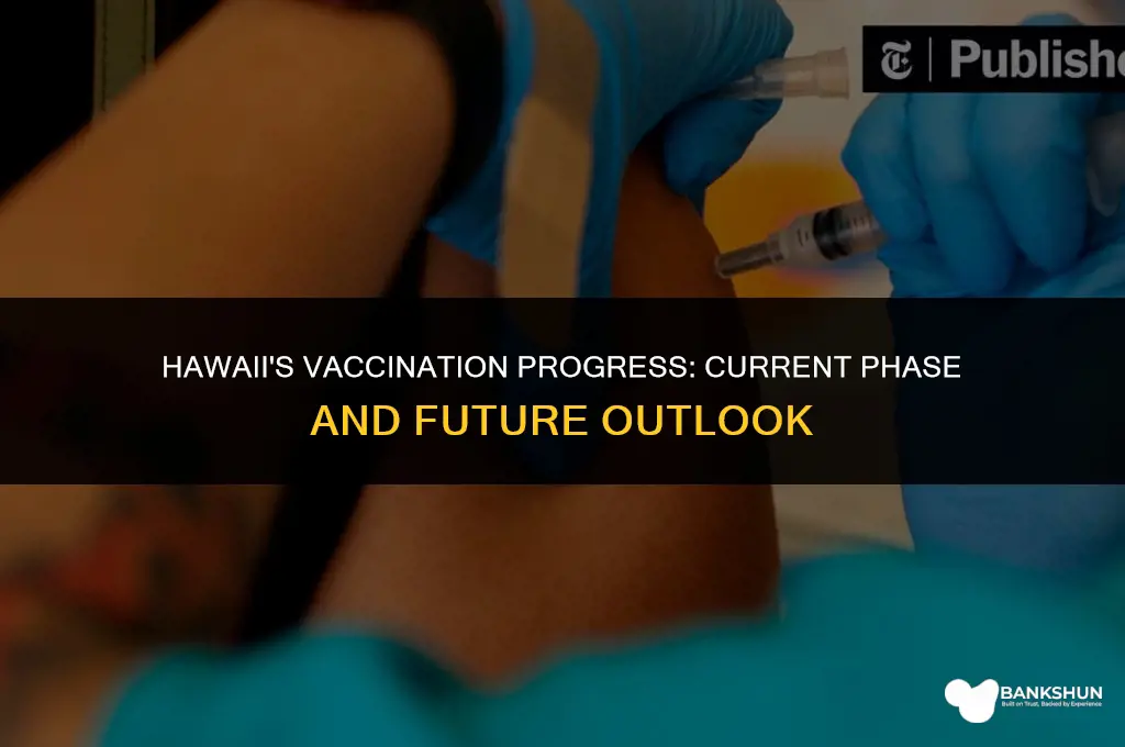 what phase is hawaii in for vaccinations