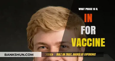 Decoding the IL Phase: Your Guide to Vaccine Development Stages