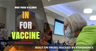 Vaccine Rollout in Illinois: Current Phase and Updates