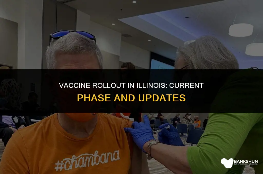 what phase is illinois in for vaccine