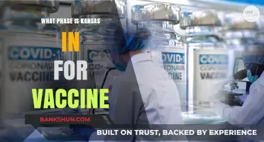 Kansas Vaccine Rollout: Understanding the Current Phase and What's Next