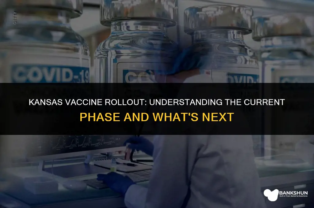what phase is kansas in for vaccine