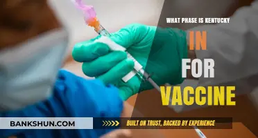 Vaccine Rollout in Kentucky: Current Phase and Updates