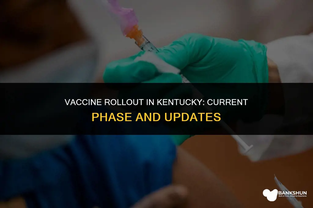 what phase is kentucky in for vaccine