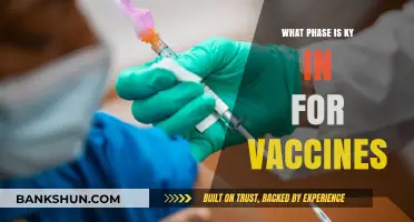 Vaccine Rollout in Kentucky: Current Phase and Updates