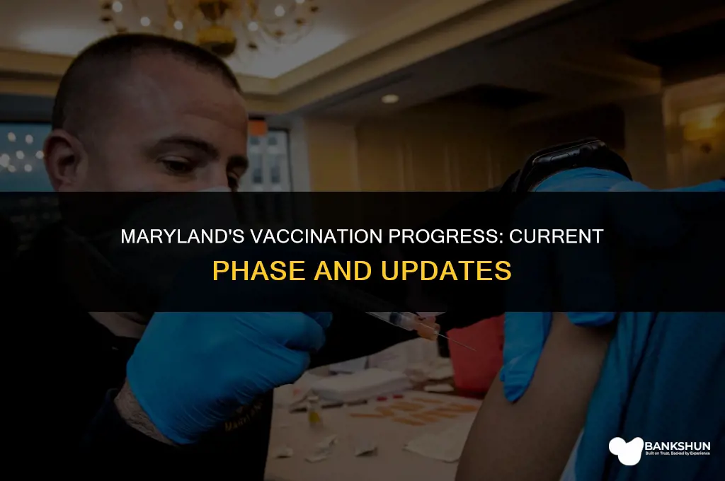 what phase is maryland in for vaccinations
