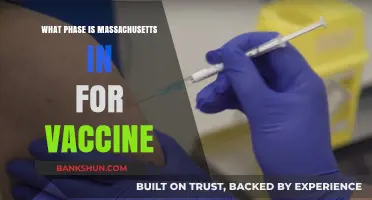 Vaccination Progress in Massachusetts: Current Phase and Updates