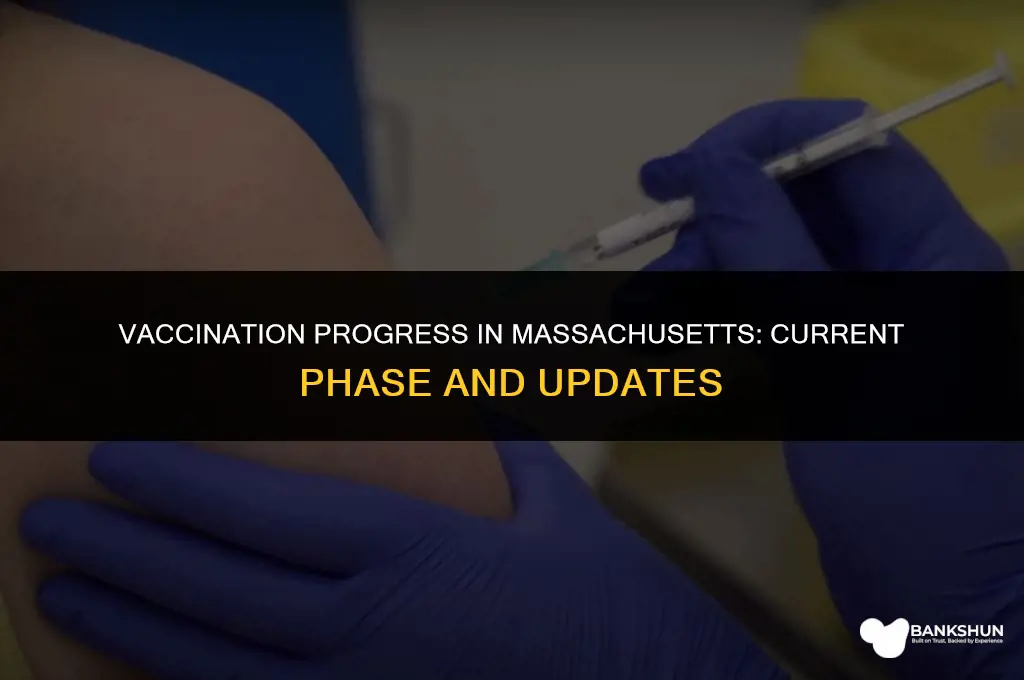what phase is massachusetts in for vaccine