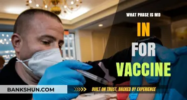 Decoding the Vaccine Development Phases: Where MD Stands Now