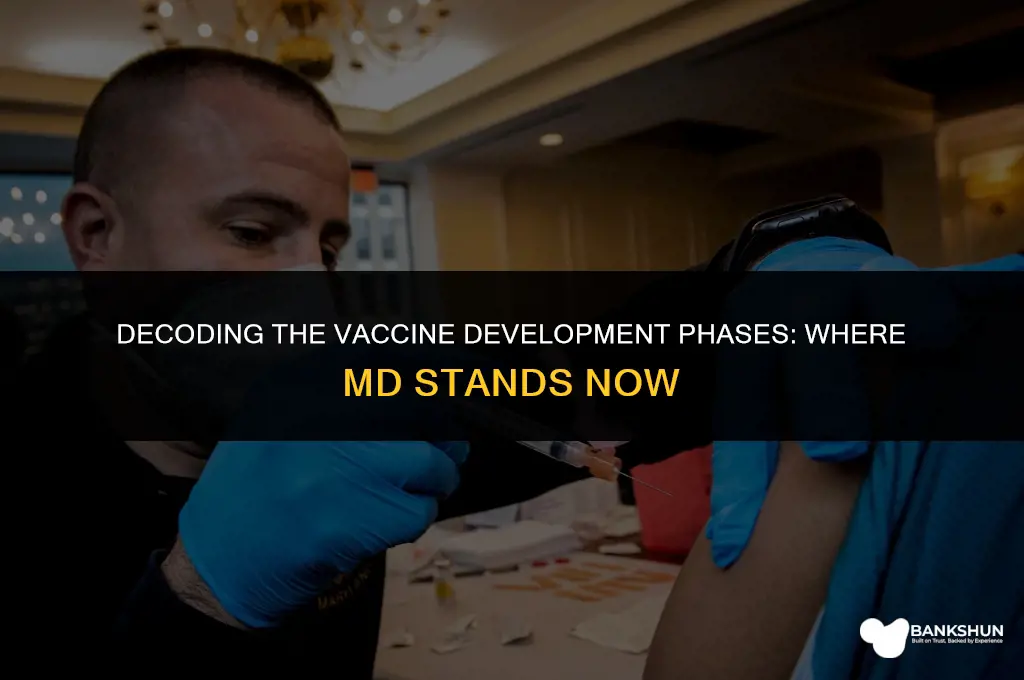 what phase is md in for vaccine