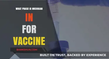 Michigan's Vaccine Rollout: Current Phase and What to Expect Next