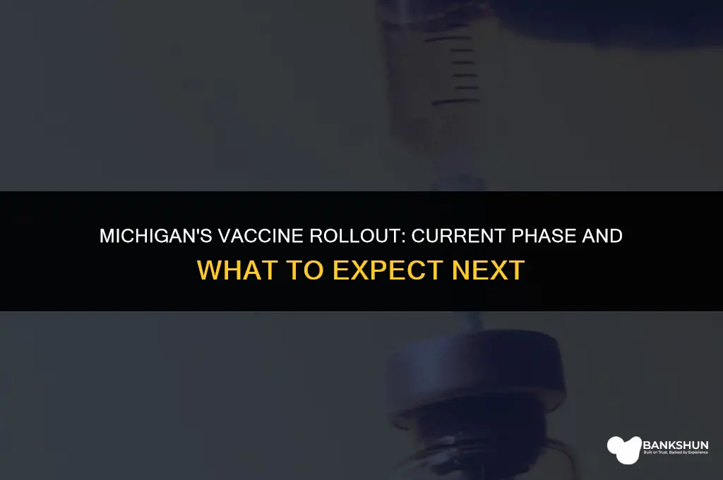 what phase is michigan in for vaccine