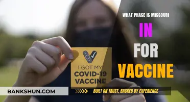 Missouri's Vaccine Rollout: Current Phase and Future Prospects