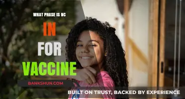 Exploring North Carolina's Current Phase in the COVID-19 Vaccine Rollout