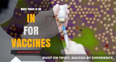 Decoding the Vaccine Development Phases: Where Does Phase ND Fit In?