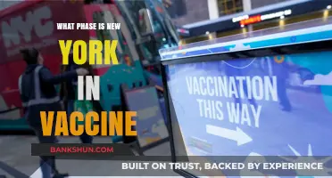 New York's Vaccine Rollout: Current Phase and Future Prospects
