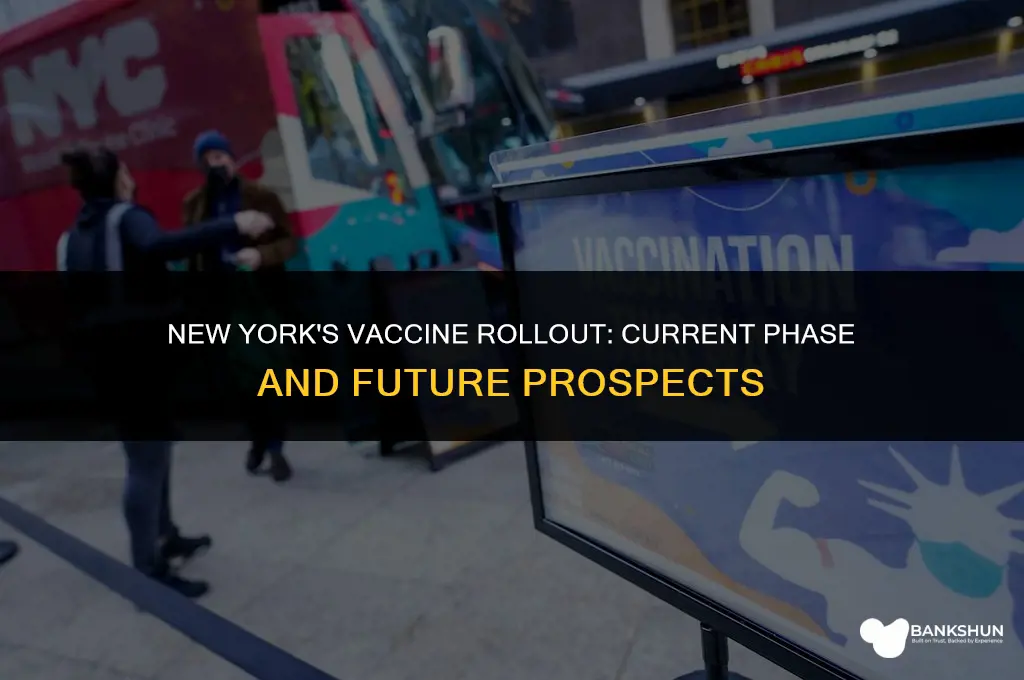 what phase is new york in vaccine