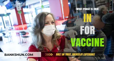 Ohio's Vaccine Rollout: Current Phase and Distribution Updates
