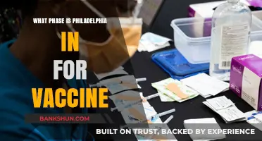 Philadelphia's Vaccine Rollout: Current Phase and Future Prospects