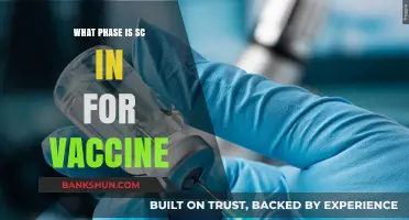 Exploring the Current Phase of SC in Vaccine Development