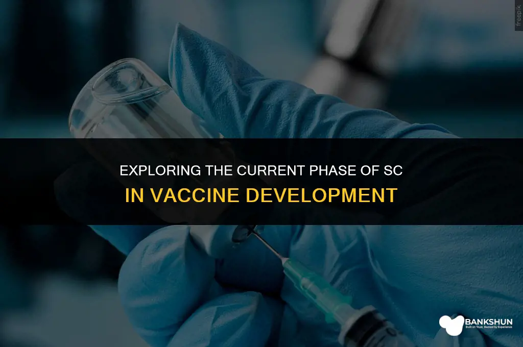 what phase is sc in for vaccine