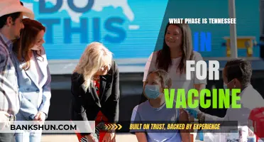 Tennessee's Vaccine Rollout: Understanding the Current Phase
