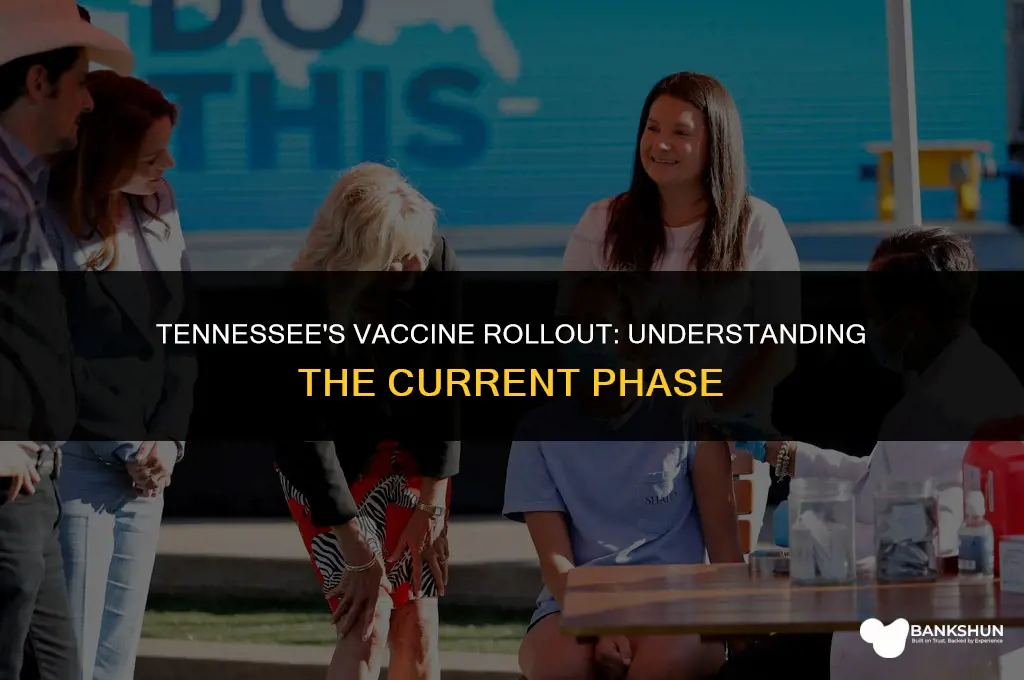 what phase is tennessee in for vaccine