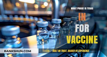 Texas Vaccine Rollout: Current Phase and What to Expect Next