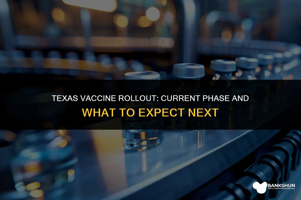 what phase is texas in for vaccine