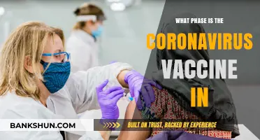 Decoding the COVID-19 Vaccine Phases: Where Do We Stand?