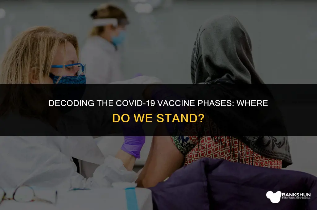 what phase is the coronavirus vaccine in