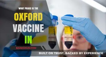 Decoding the Oxford Vaccine's Progress: A Phase-by-Phase Update