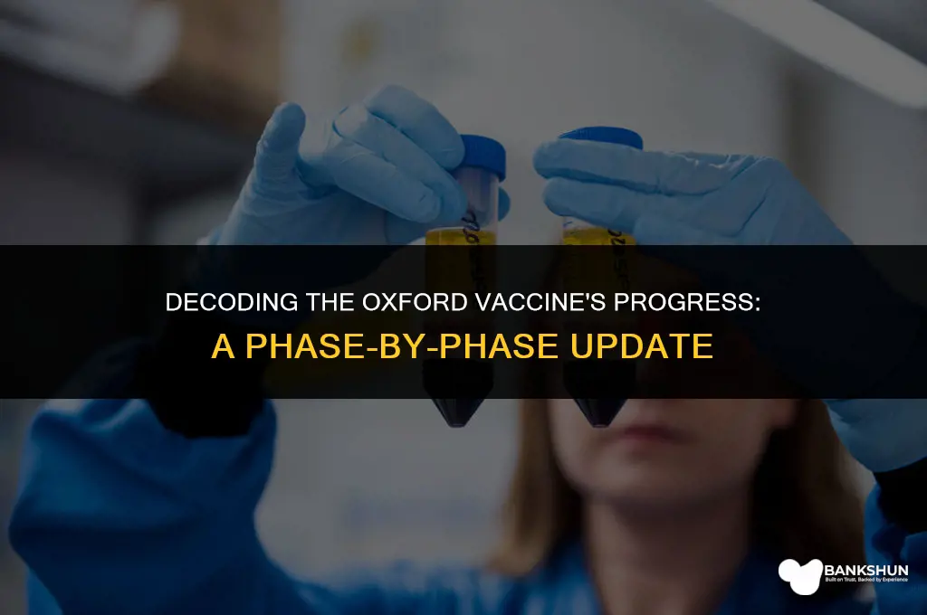 what phase is the oxford vaccine in